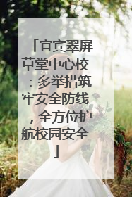 宜宾翠屏草堂中心校：多举措筑牢安全防线，全方位护航校园安全